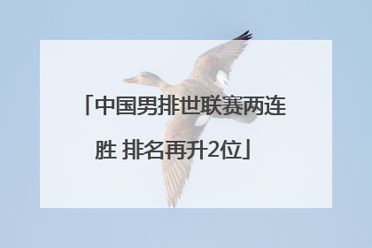 中国男排世联赛两连胜 排名再升2位