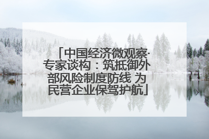 中国经济微观察·专家谈构：筑抵御外部风险制度防线 为民营企业保驾护航