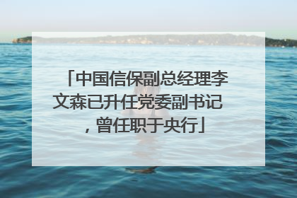 中国信保副总经理李文森已升任党委副书记，曾任职于央行