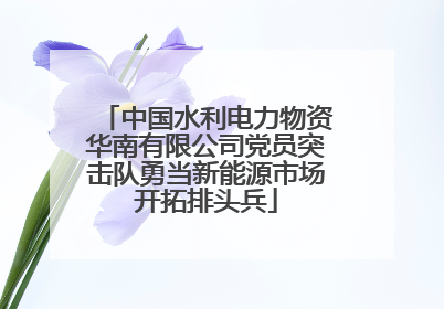 中国水利电力物资华南有限公司党员突击队勇当新能源市场开拓排头兵
