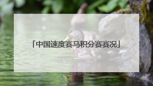 中国速度赛马积分赛赛况