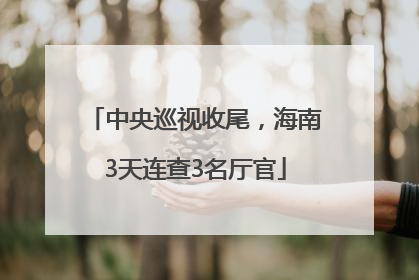 中央巡视收尾，海南3天连查3名厅官