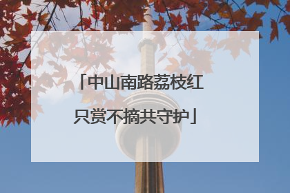 中山南路荔枝红 只赏不摘共守护