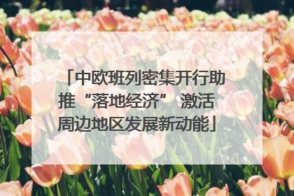 中欧班列密集开行助推“落地经济” 激活周边地区发展新动能