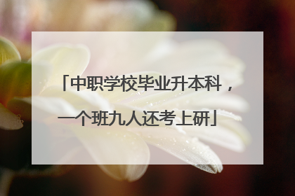 中职学校毕业升本科，一个班九人还考上研