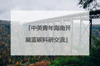 中英青年海南开展蓝碳科研交流