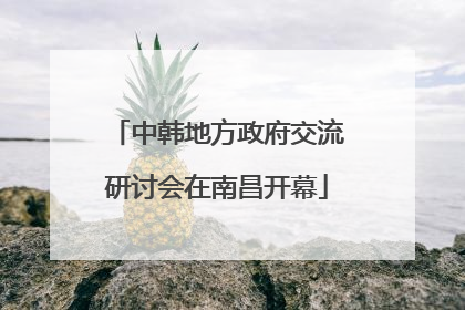 中韩地方政府交流研讨会在南昌开幕