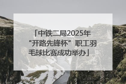 中铁二局2025年“开路先锋杯”职工羽毛球比赛成功举办