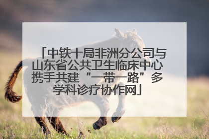 中铁十局非洲分公司与山东省公共卫生临床中心携手共建“一带一路”多学科诊疗协作网