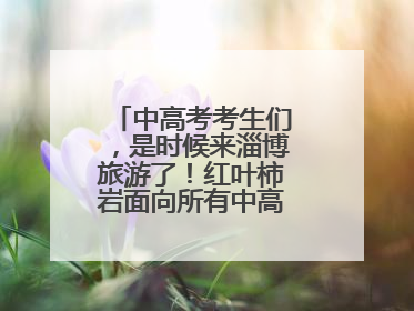 中高考考生们，是时候来淄博旅游了！红叶柿岩面向所有中高考考生免门票