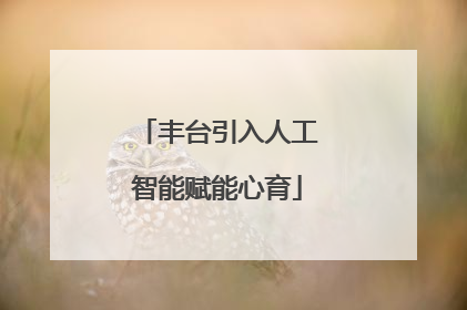 丰台引入人工智能赋能心育