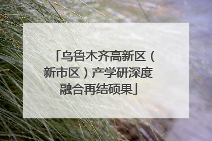 乌鲁木齐高新区（新市区）产学研深度融合再结硕果