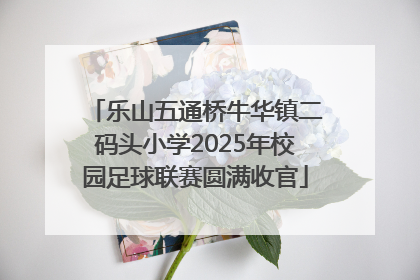 乐山五通桥牛华镇二码头小学2025年校园足球联赛圆满收官