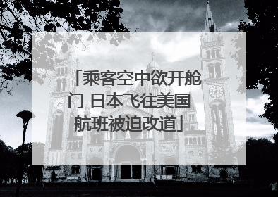 乘客空中欲开舱门 日本飞往美国航班被迫改道