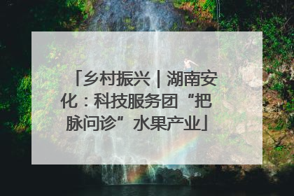乡村振兴｜湖南安化：科技服务团“把脉问诊”水果产业