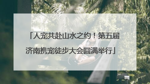 人宠共赴山水之约！第五届济南携宠徒步大会圆满举行