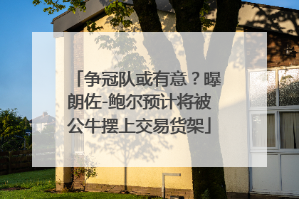 争冠队或有意？曝朗佐-鲍尔预计将被公牛摆上交易货架