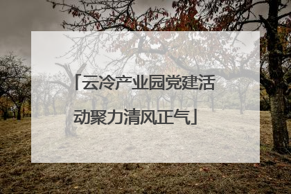 云冷产业园党建活动聚力清风正气
