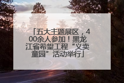 五大主题展区，400余人参加！黑龙江省希望工程“义卖童园”活动举行