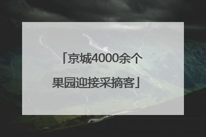 京城4000余个果园迎接采摘客