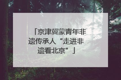 京津冀蒙青年非遗传承人“走进非遗看北京”