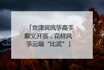 京津冀风筝高手顺义开赛，花样风筝云端“比武”