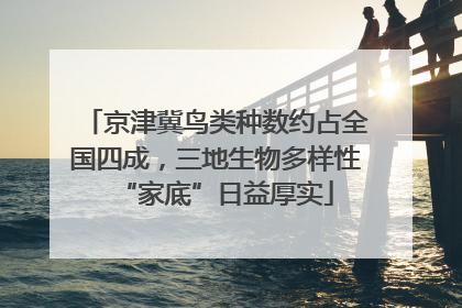 京津冀鸟类种数约占全国四成，三地生物多样性“家底”日益厚实