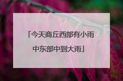 今天商丘西部有小雨 中东部中到大雨