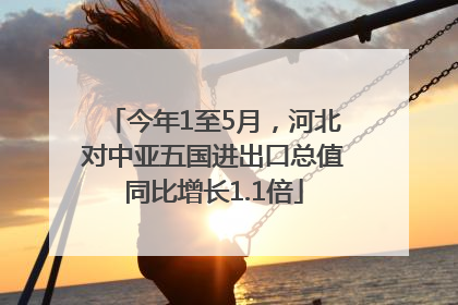 今年1至5月，河北对中亚五国进出口总值同比增长1.1倍