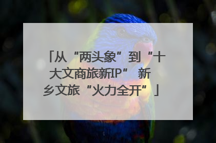 从“两头象”到“十大文商旅新IP” 新乡文旅“火力全开”