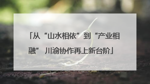 从“山水相依”到“产业相融” 川渝协作再上新台阶