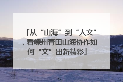 从“山海”到“人文”，看嵊州青田山海协作如何“文”出新精彩