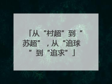 从“村超”到“苏超”，从“追球”到“追求”