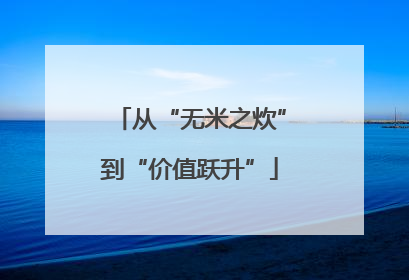 从“无米之炊”到“价值跃升”
