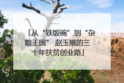 从“铁饭碗”到“杂粮王国” 赵玉娥的三十年扶贫创业路