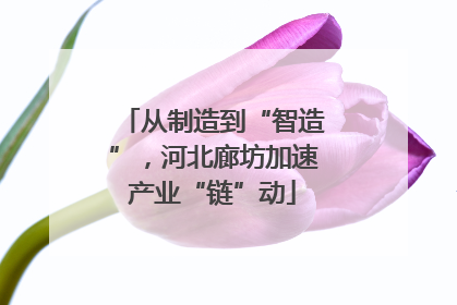 从制造到“智造”，河北廊坊加速产业“链”动