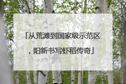 从荒滩到国家级示范区，阳新书写虾稻传奇
