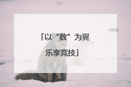 以“数”为翼 乐享竞技