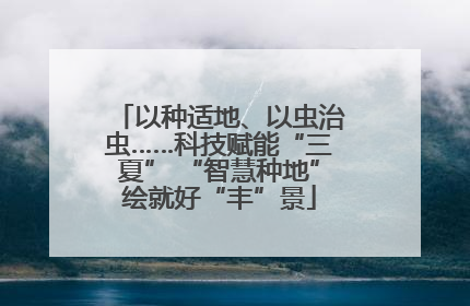 以种适地、以虫治虫……科技赋能“三夏” “智慧种地”绘就好“丰”景