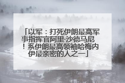 以军：打死伊朗最高军事指挥官阿里·沙德马尼！系伊朗最高领袖哈梅内伊最亲密的人之一