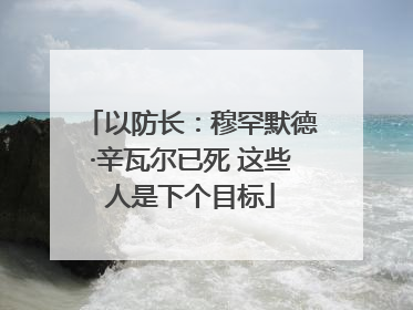 以防长：穆罕默德·辛瓦尔已死 这些人是下个目标