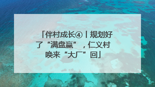 伴村成长④丨规划好了“满盘赢”，仁义村唤来“大厂”回