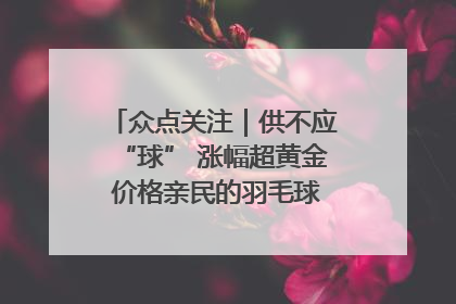 众点关注｜供不应“球” 涨幅超黄金 价格亲民的羽毛球为何身价飞涨？