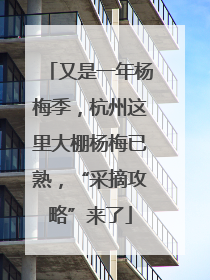 又是一年杨梅季，杭州这里大棚杨梅已熟，“采摘攻略”来了