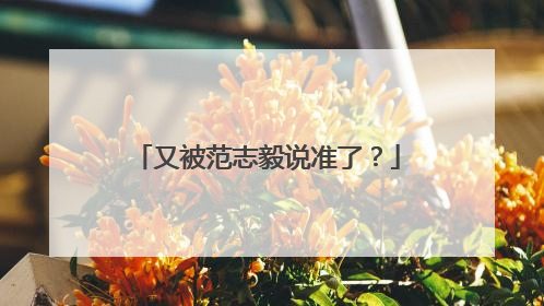 又被范志毅说准了？