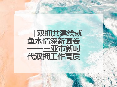 双拥共建绘就鱼水情深新画卷——三亚市新时代双拥工作高质量发展纪实