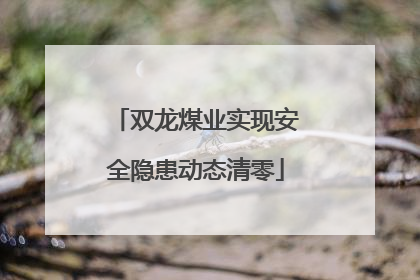 双龙煤业实现安全隐患动态清零