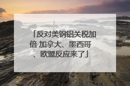 反对美钢铝关税加倍 加拿大、墨西哥、欧盟反应来了
