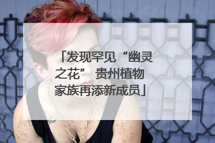 发现罕见“幽灵之花” 贵州植物家族再添新成员