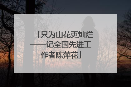 只为山花更灿烂——记全国先进工作者陈萍花